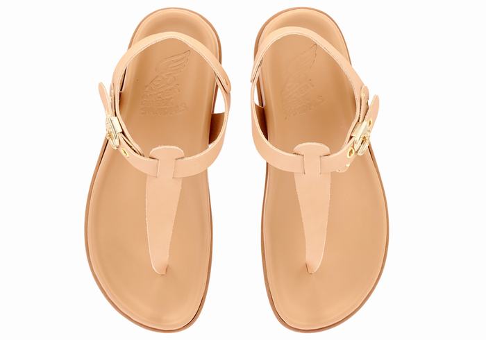 Sandales Bride Arrière Ancient Greek Sandals Alki Flip Flop   | PAM-7976118